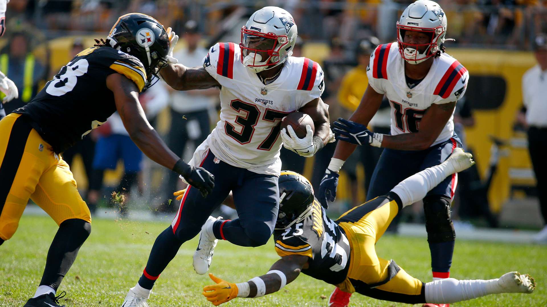 于缺乏适应 于缺乏适应