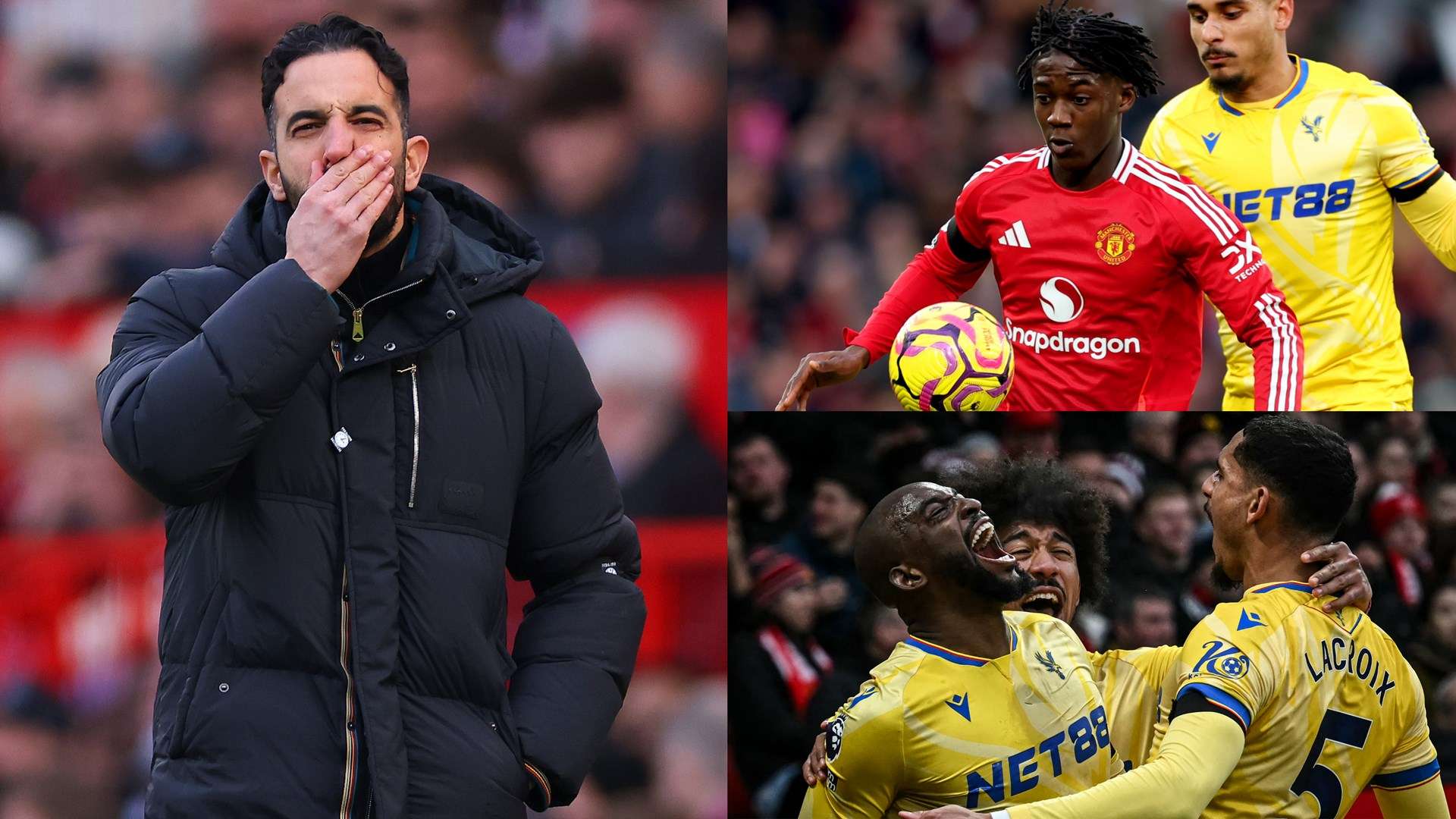 好者和观众 好者和观众