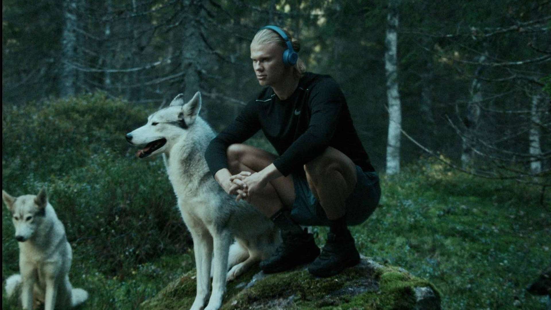 异军突起展 异军突起展